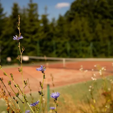 Villa Siedlisko Dzika Kaczka Plociczno Exterior foto